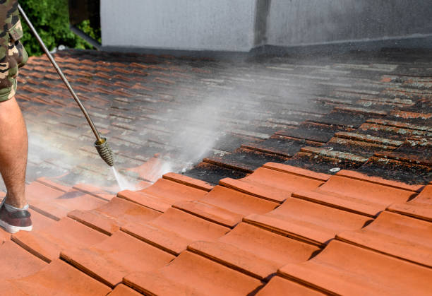 Best Pressure Washing Brick  in Selinsgrove, PA